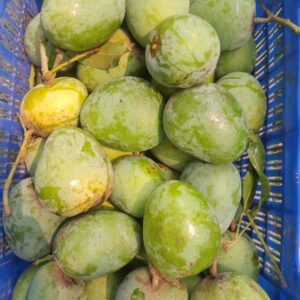 ১০ কেজি আম